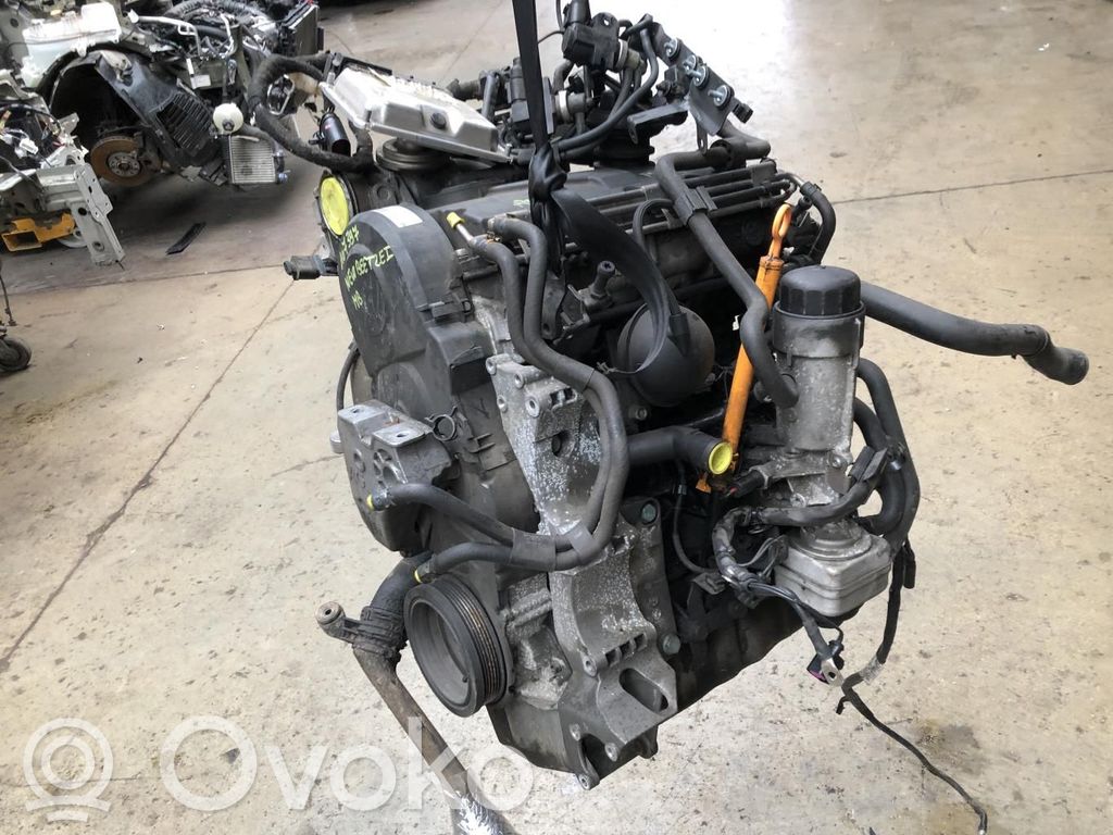 Motor