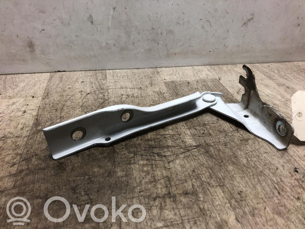 Volkswagen Polo V 6R Cerniere del vano motore/cofano
