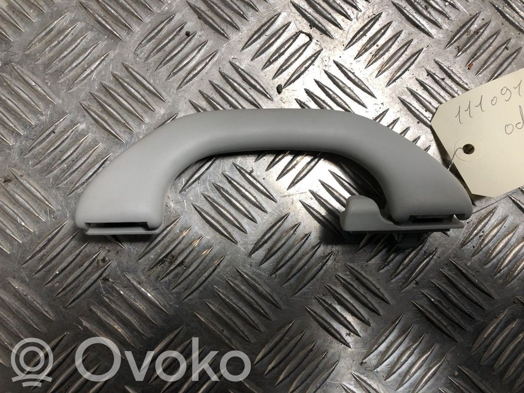 Skoda Octavia Mk3 (5E) Eine Reihe von Griffen für die Decke 