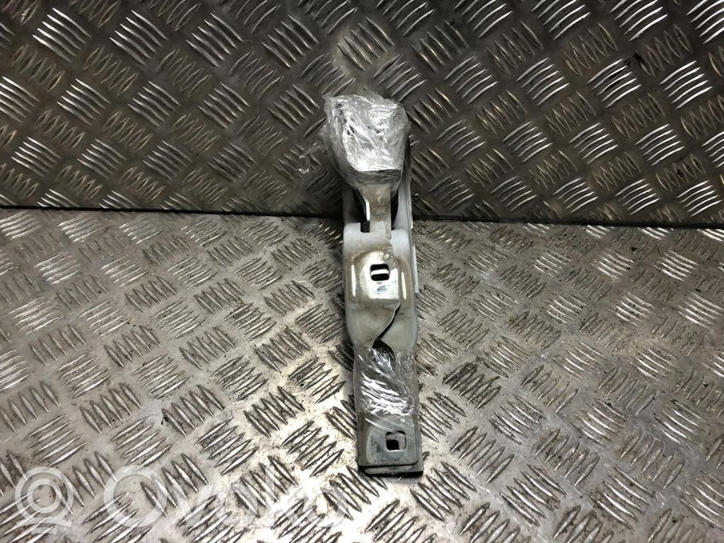 Citroen C3 Dzinēja pārsega eņģe (-es) 