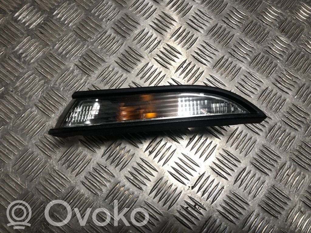 Seitenblinker