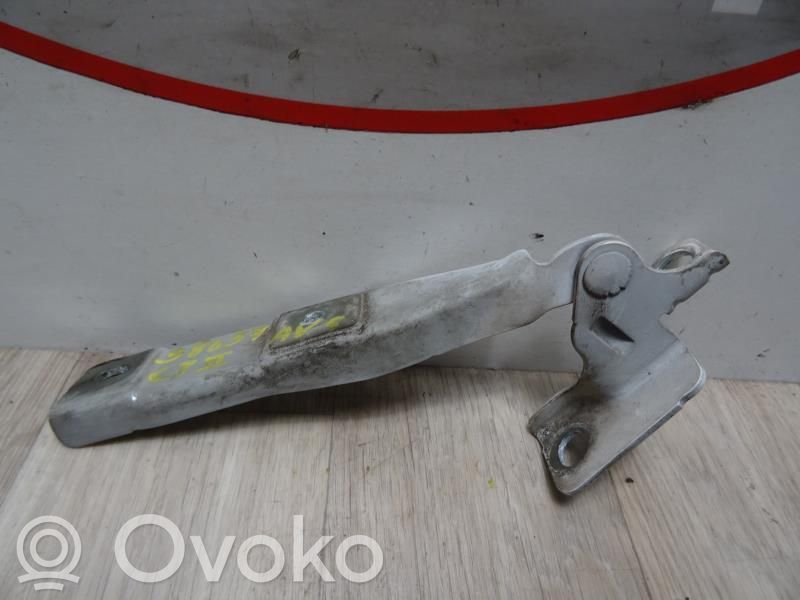 Citroen C3 Cerniere del vano motore/cofano