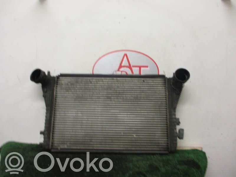 Volkswagen Golf V Radiatore intercooler
