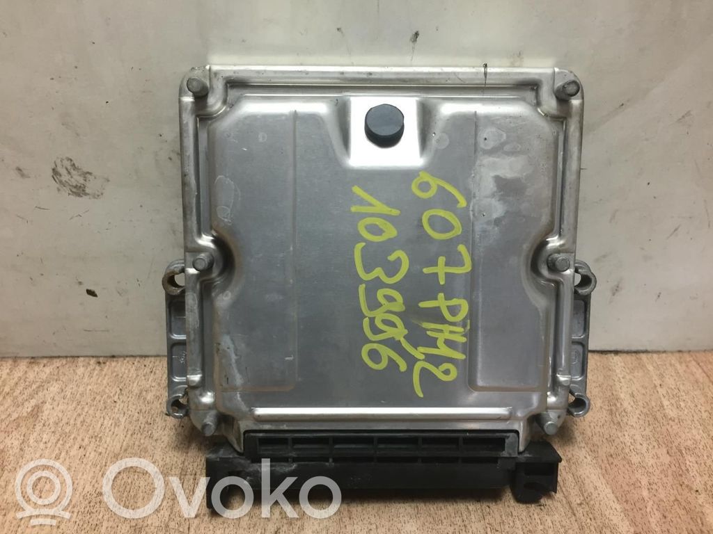 Engine control unit/module   1938J0,1938J0