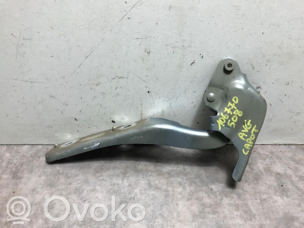 Peugeot 508 Cerniere del vano motore/cofano 