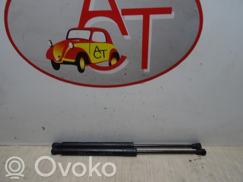 Citroen DS3 Tailgate/trunk strut/damper 