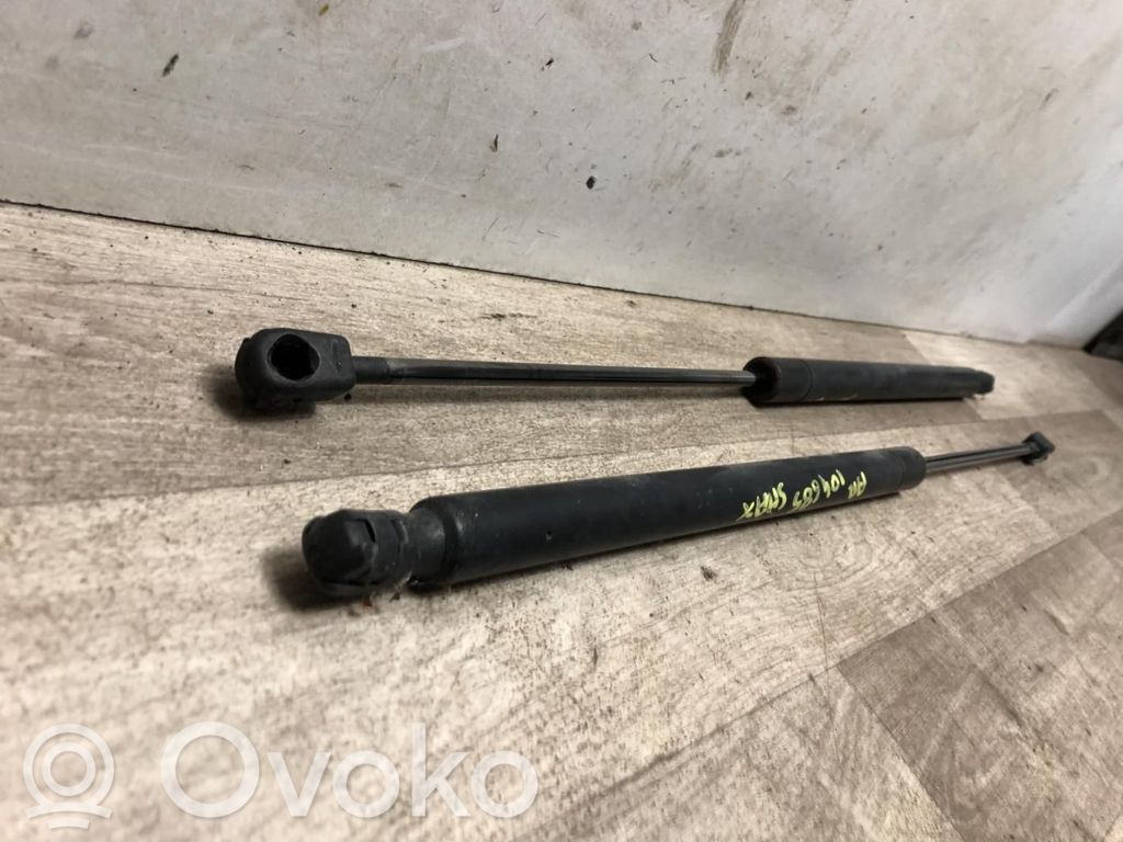 Ford S-MAX Tailgate/trunk strut/damper 