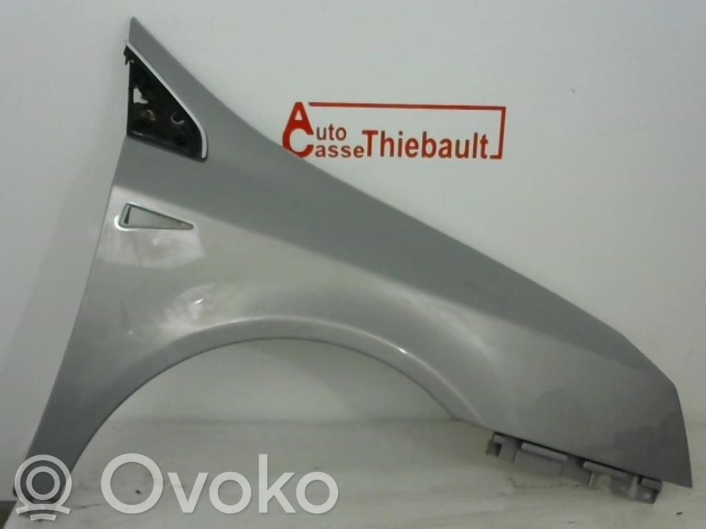Renault Vel Satis Sparnas 