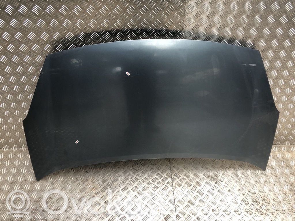 Capotă motor   00007901P7,00007901P7