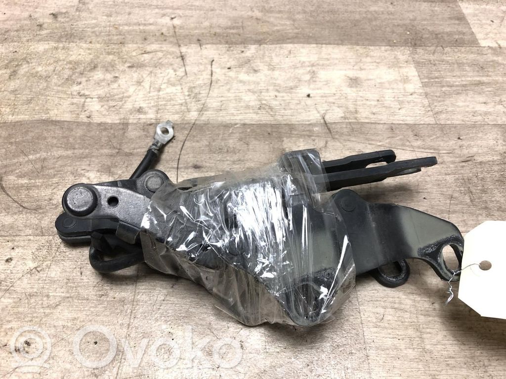 BMW 3 E90 E91 Cerniere del vano motore/cofano