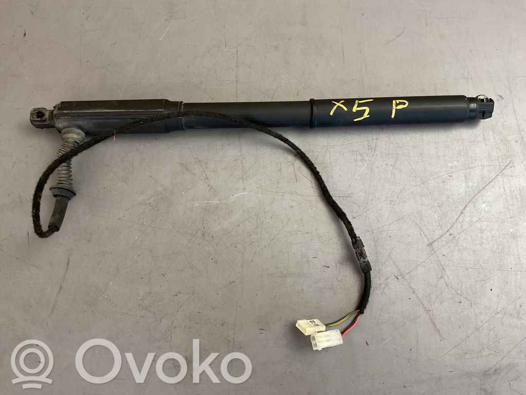 BMW X5 E70 Tailgate/trunk strut/damper 