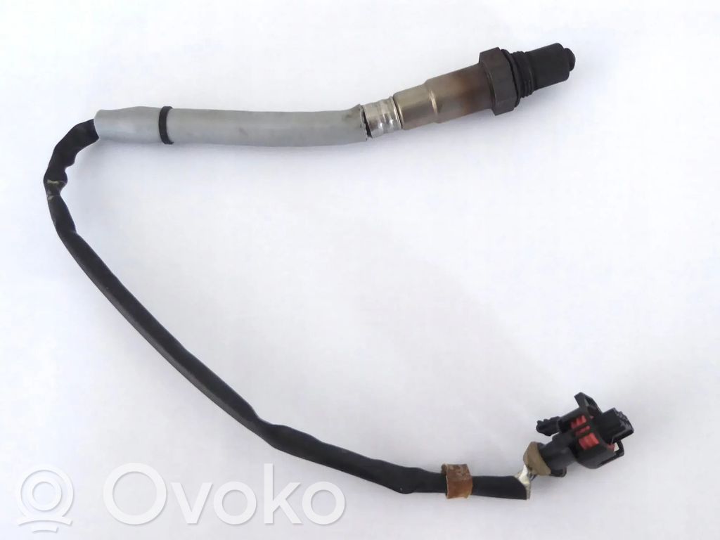 Sonda lambda   55568696