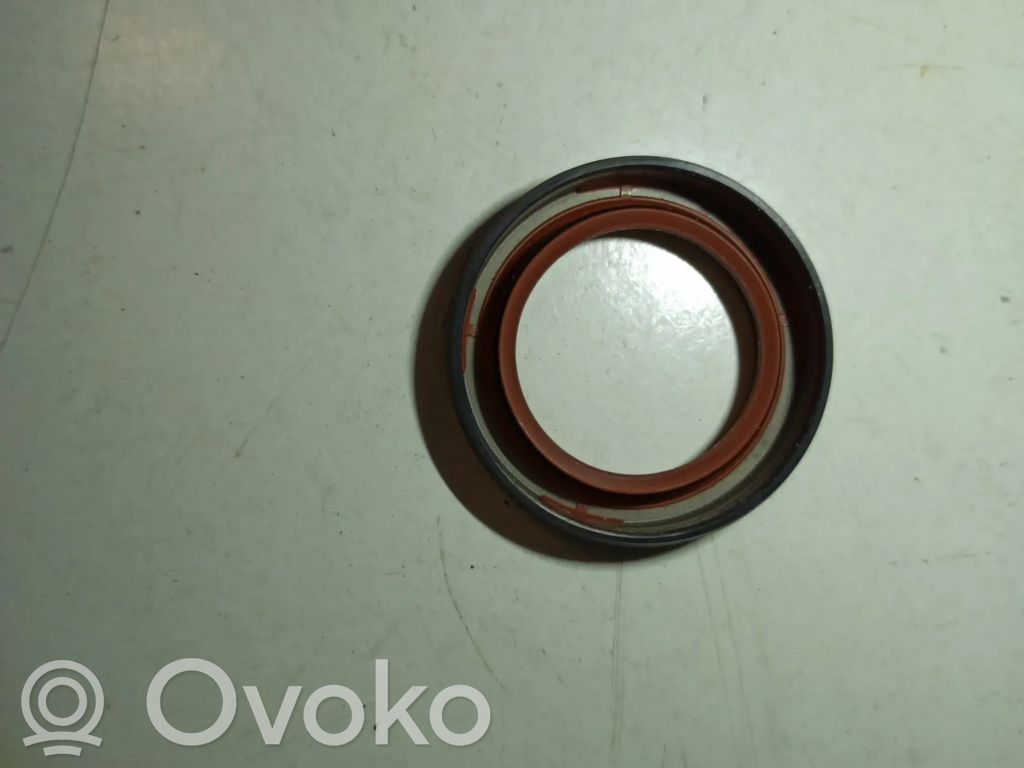 Rover 100 Öljypohja 