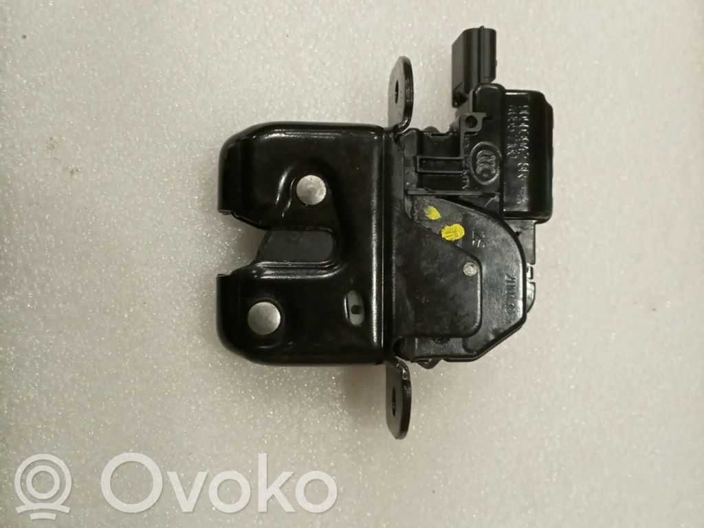 Tailgate exterior lock   905039428RA