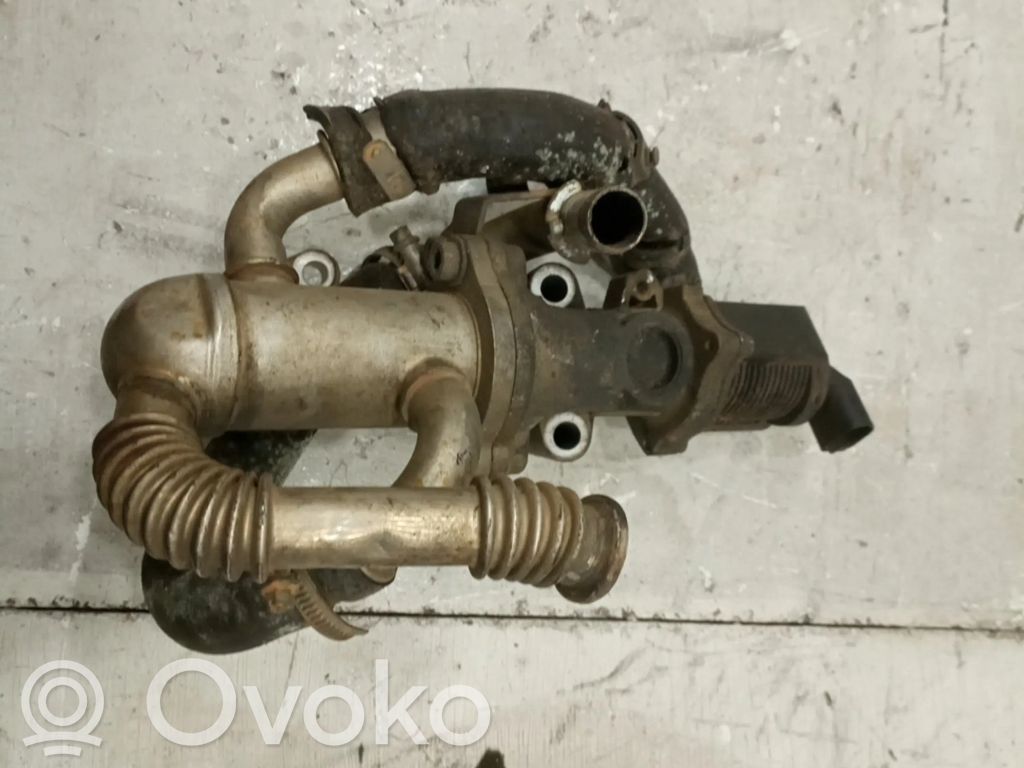 EGR vožtuvas   55487051