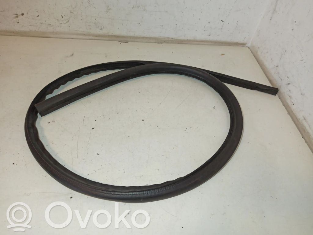 Audi A4 S4 B6 8E 8H Dangtis variklio (kapotas) 