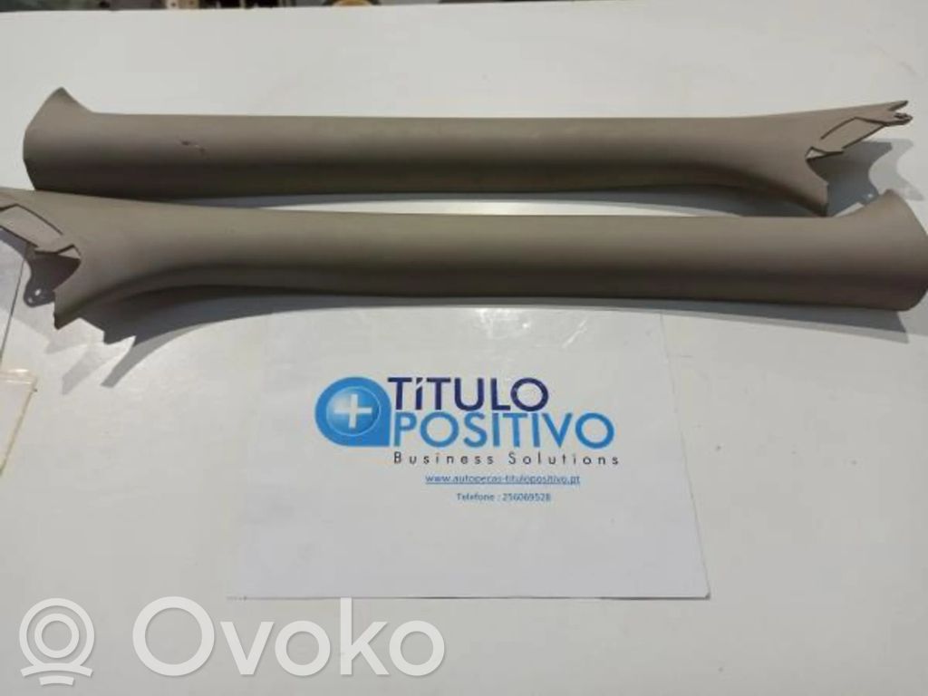 Renault Clio III Techo 