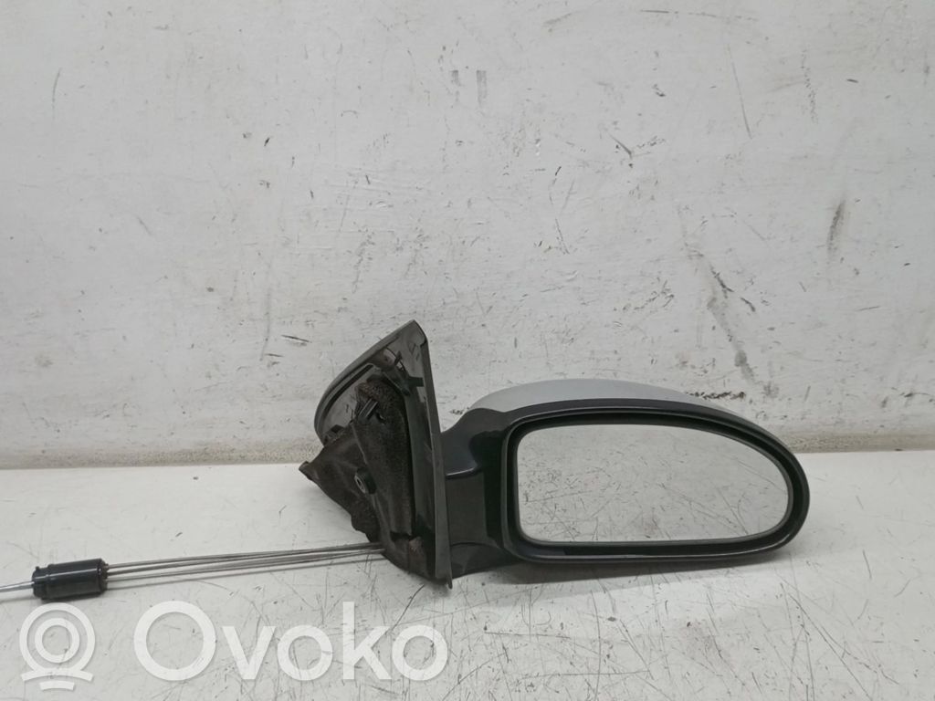 Veidrodėlis (elektra valdomas)   E11015475