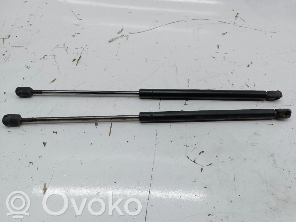 Tailgate/trunk strut/damper   41626801258