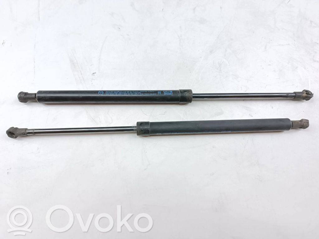 Tailgate/trunk strut/damper   GS1M,5HOWA