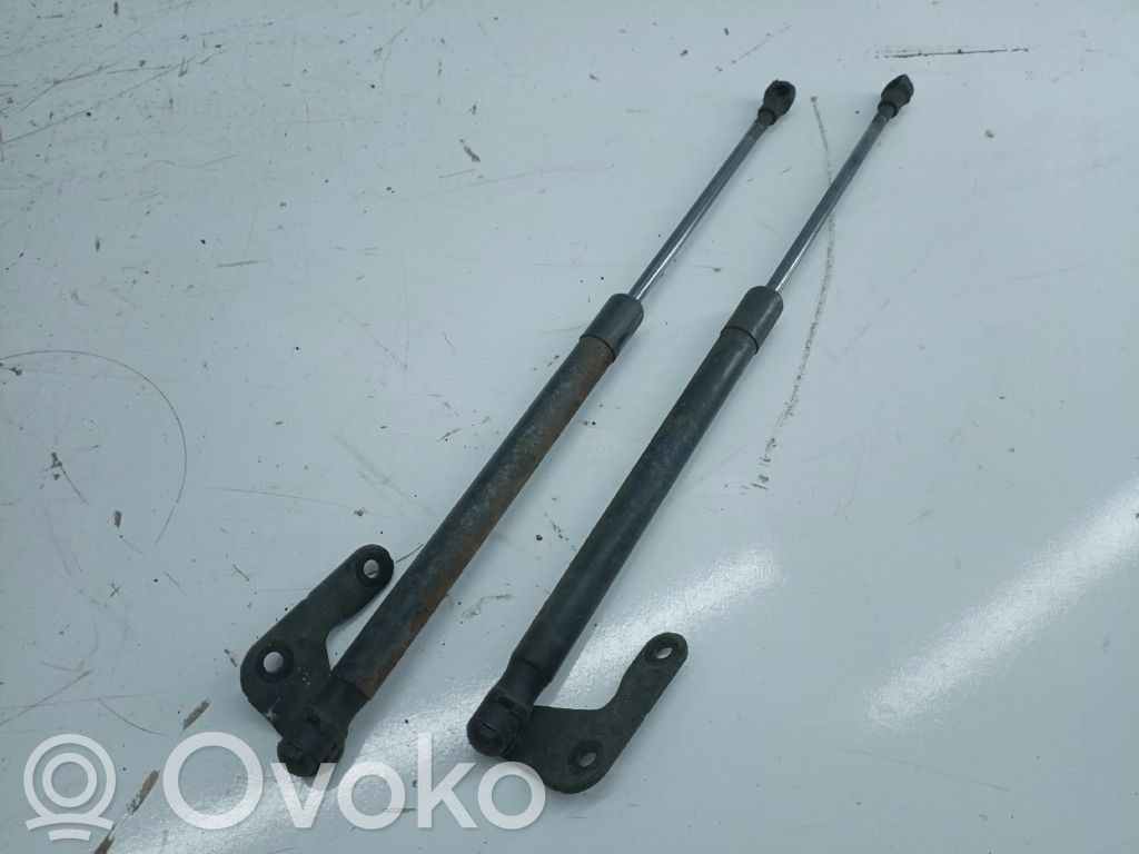 Tailgate/trunk strut/damper