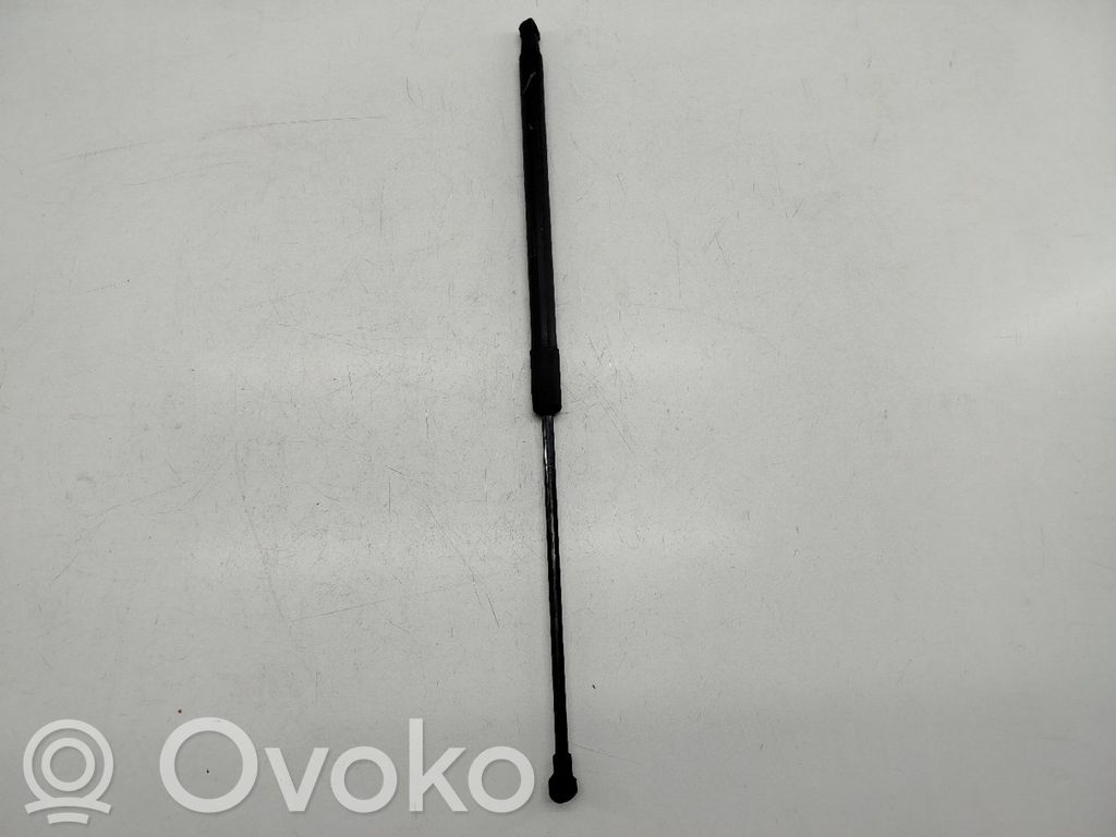 Tailgate/trunk strut/damper   904506697R