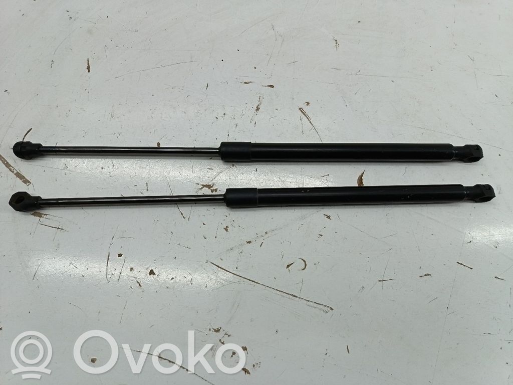 Tailgate/trunk strut/damper   904507649R