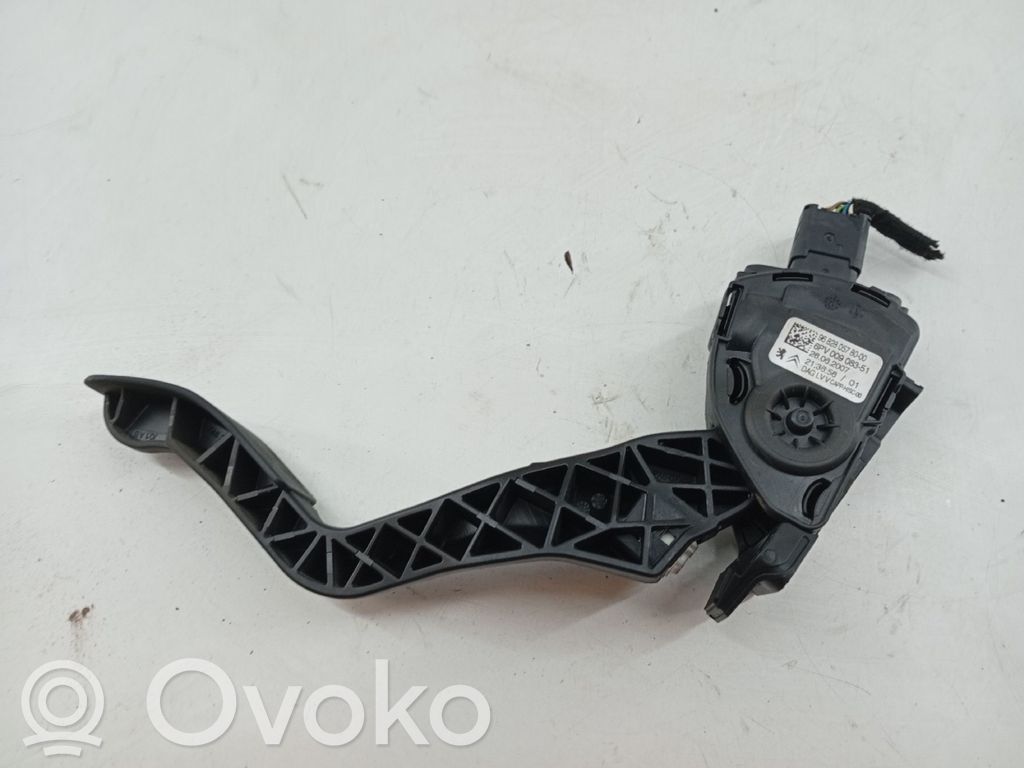 Assemblage pédale   968280578000