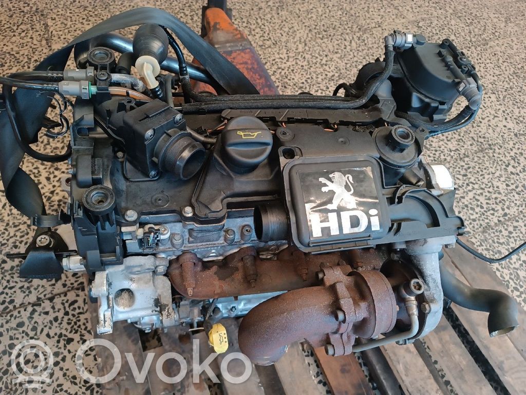 Peugeot 206 Variklis 