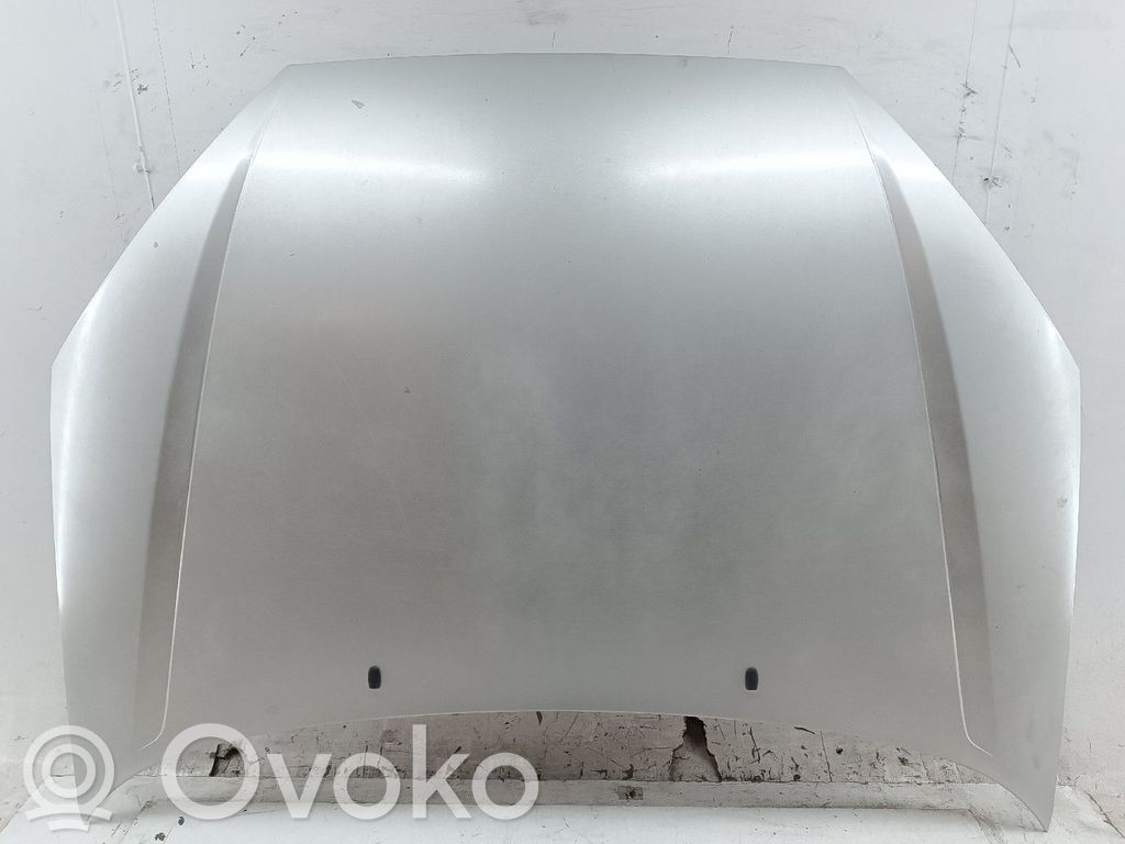 Motorhaube   ALGUM,RISCOS