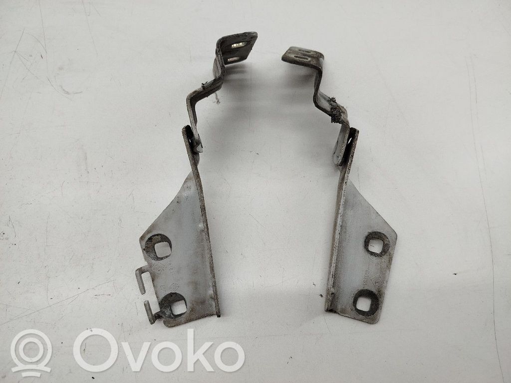 Renault Megane II Cerniere del vano motore/cofano 