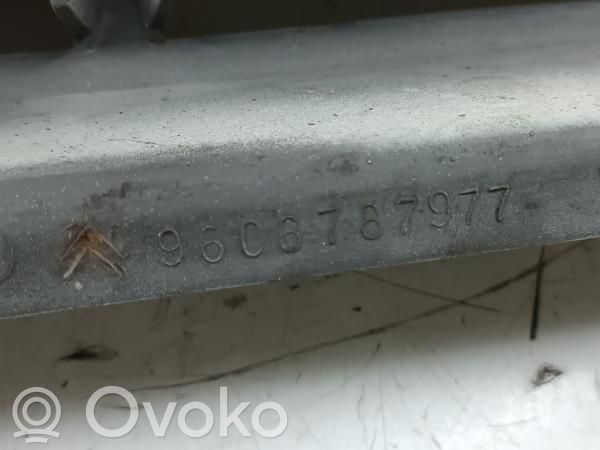 Citroen AX Front grill 
