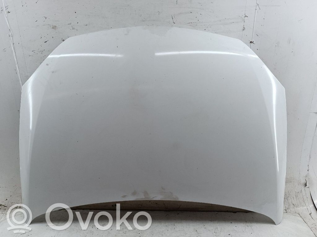 Motorhaube   ALGUM