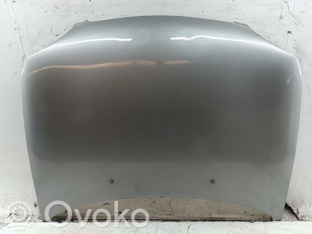 Motorhaube   ALGUMDESGASTE,RISCOS