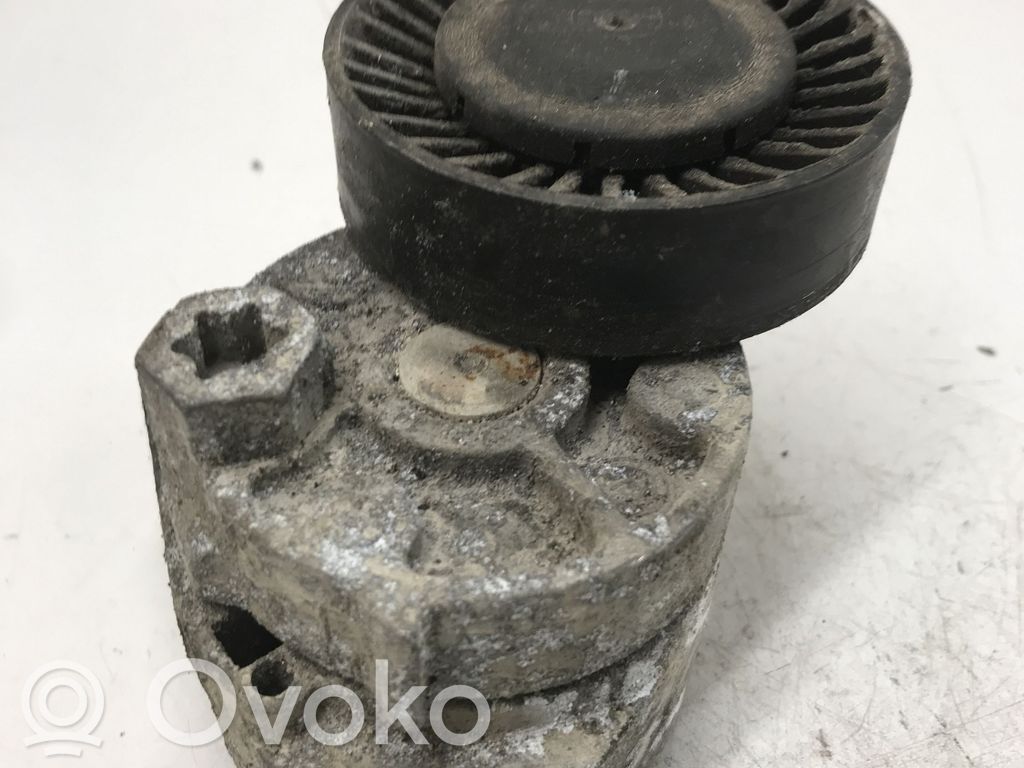 KIA Carnival Tendicinghia generatore/alternatore 