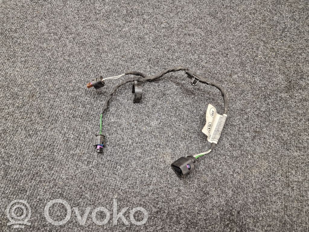 Cupra Born Other wiring loom 