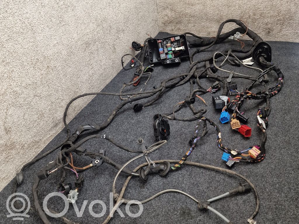 Cupra Born Other wiring loom 