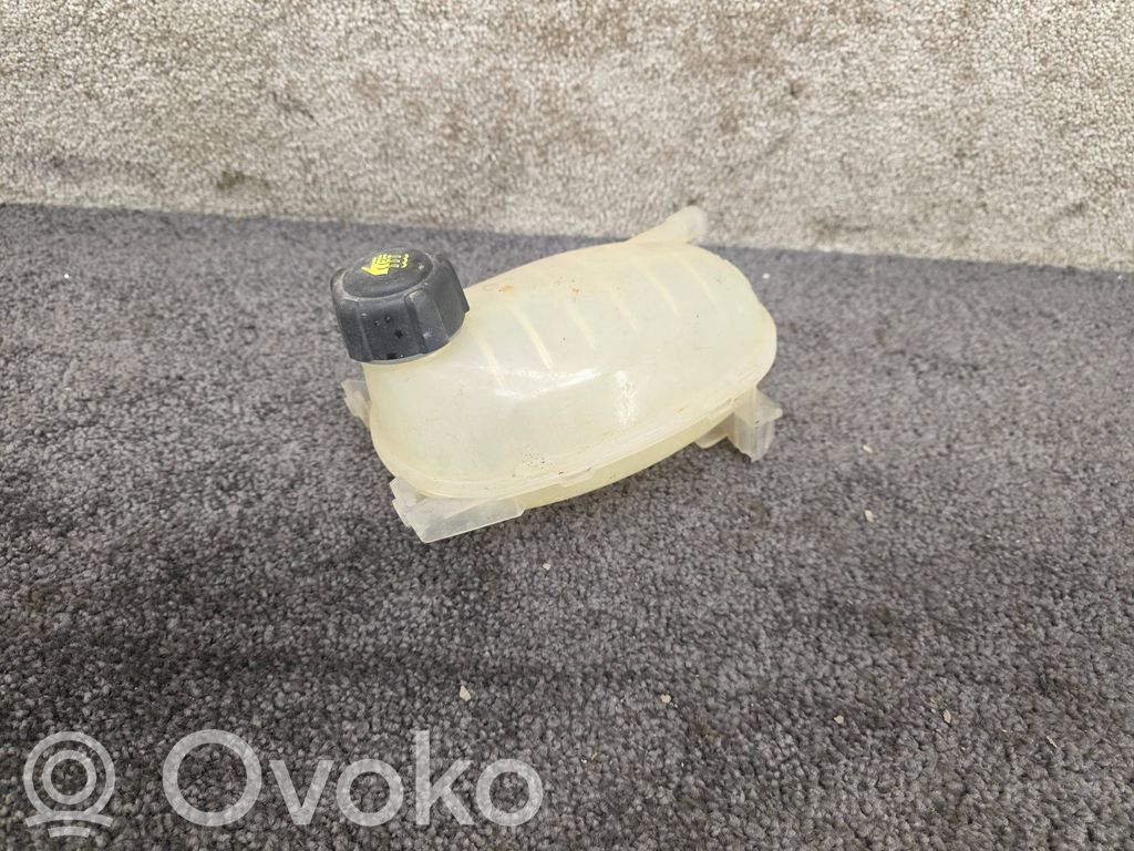 Renault Clio V Aušinimo skysčio išsiplėtimo bakelis 