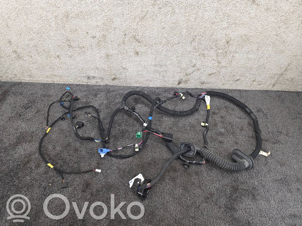 Tesla Model Y Cableado de puerta delantera 