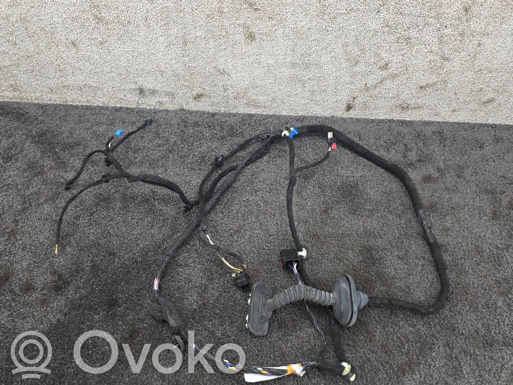 Tesla Model Y Cableado de puerta trasera 