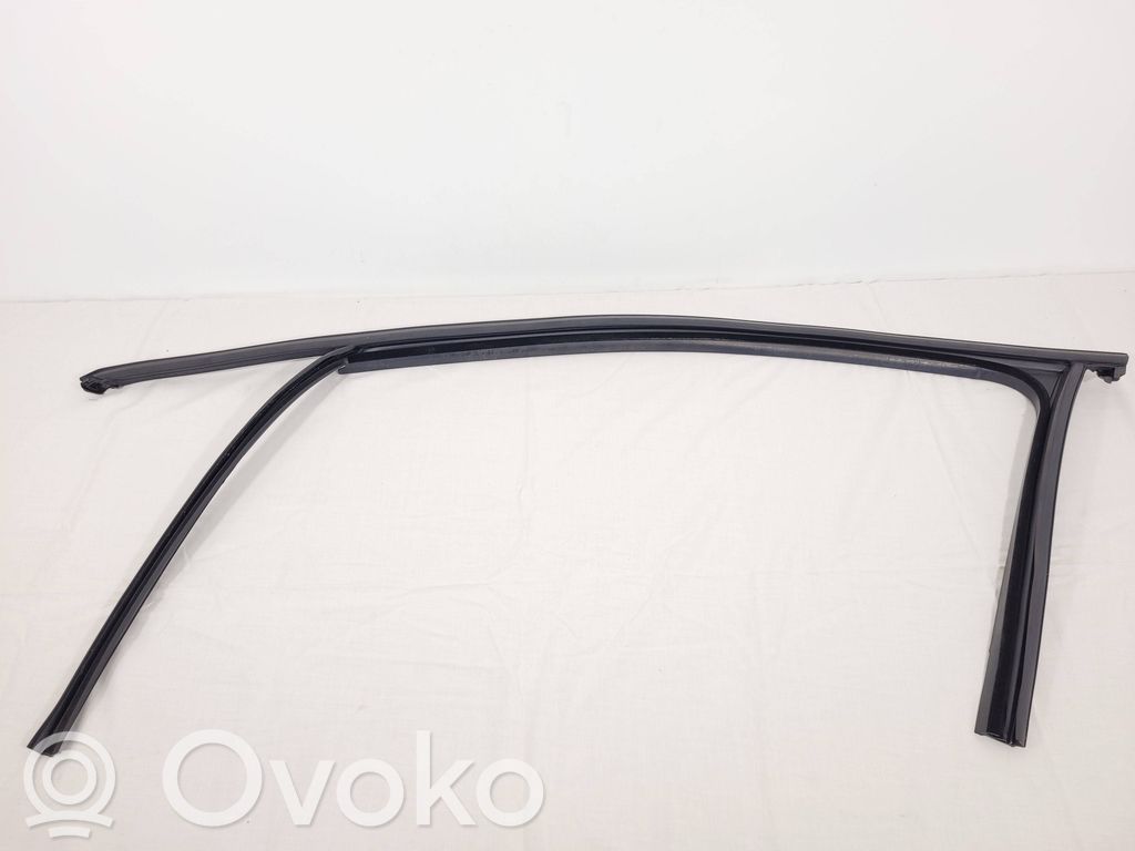 Volkswagen PASSAT B8 Uszczelka szyby drzwi przednich 