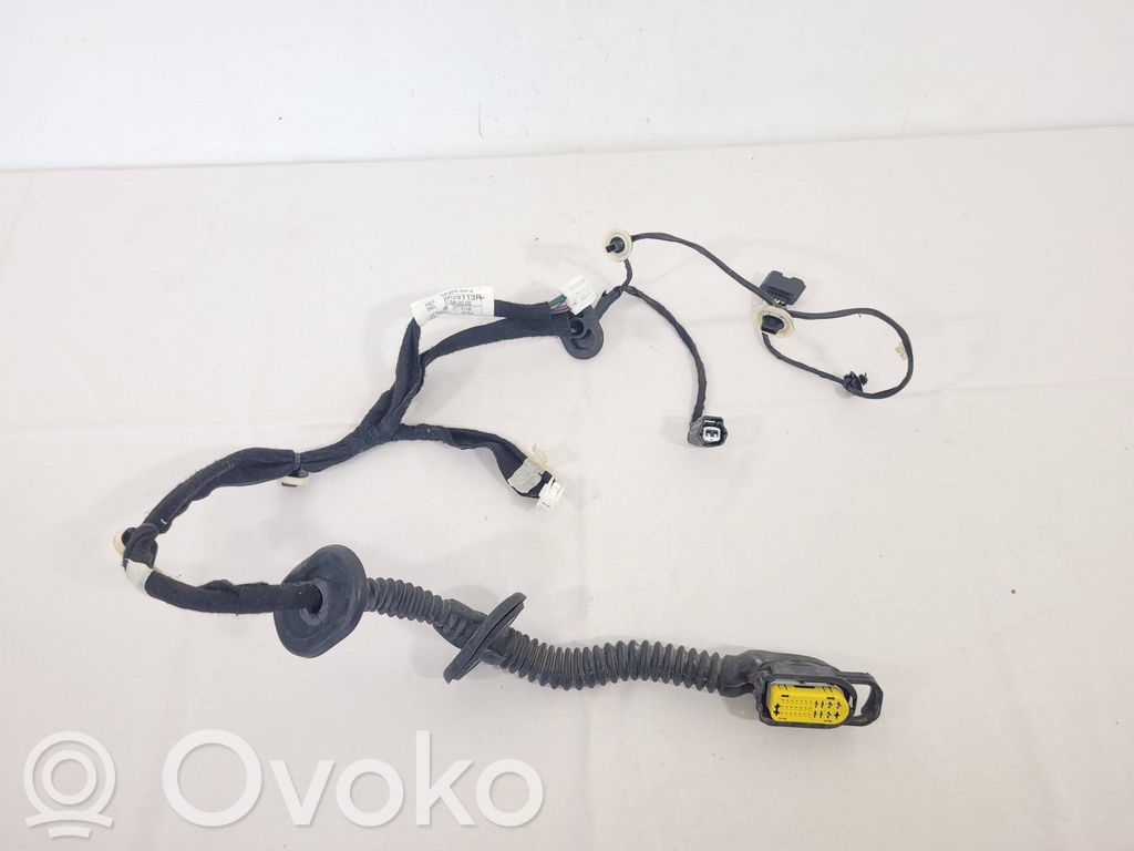 Renault Captur Cableado de puerta trasera 