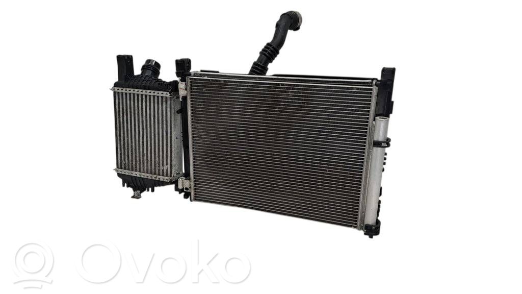Radiator set   214818009R,921006843R,144961381R,144604599R,144608527R,21410B680B,240218