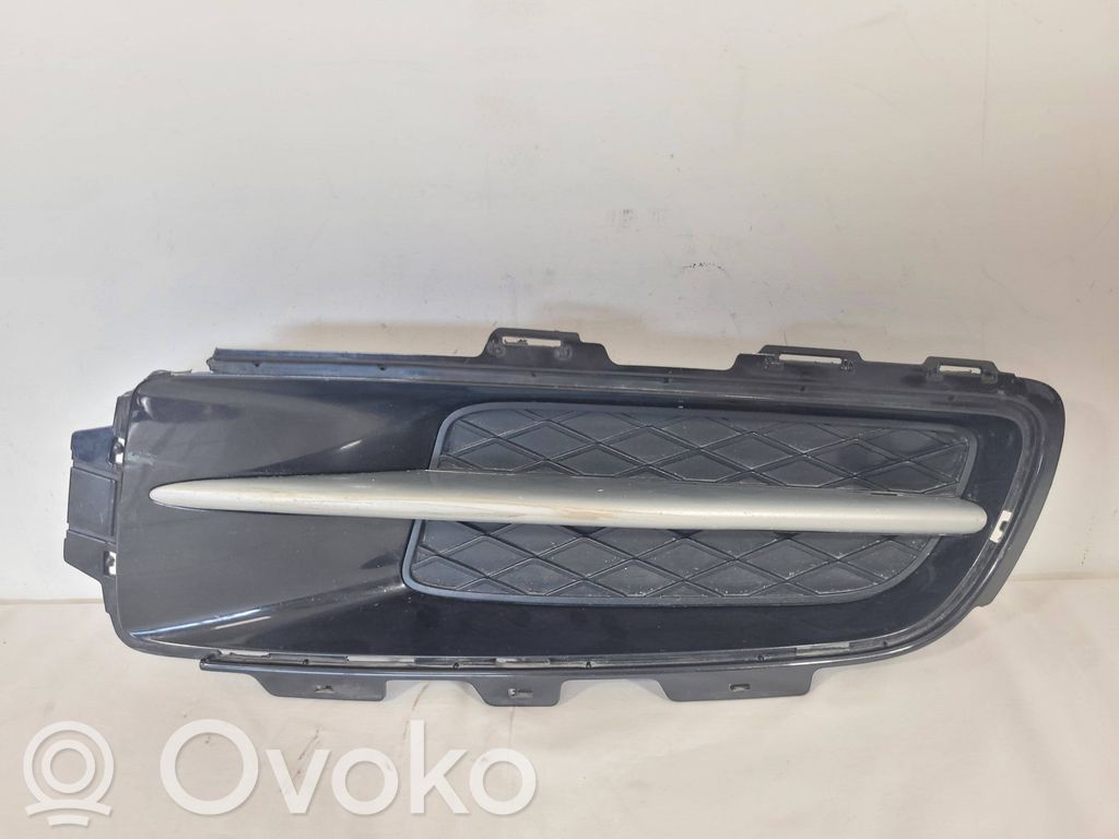 BMW X5 E70 Front bumper lower grill 