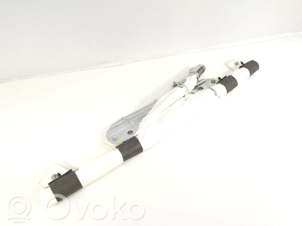Tesla Model X Airbag del techo 
