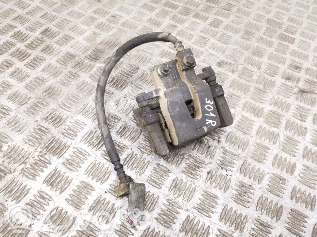 Takajarrusatula   5142564AB