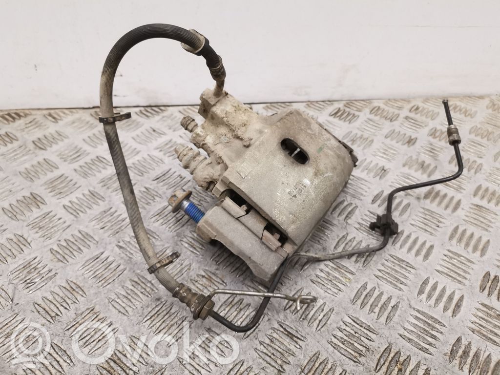 Takajarrusatula   5179881AC,5080566AC