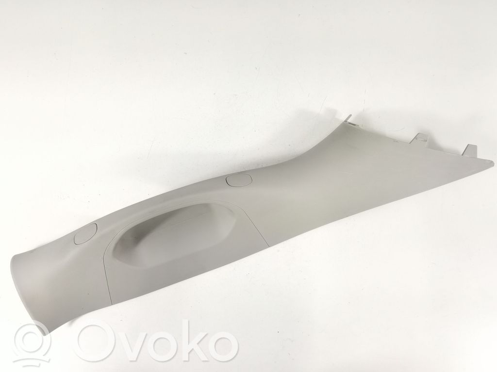 Dodge RAM Kita slenkscių/ statramsčių apdailos detalė 