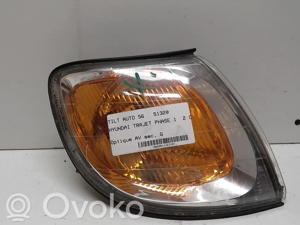 Hyundai Trajet Seitenblinker 