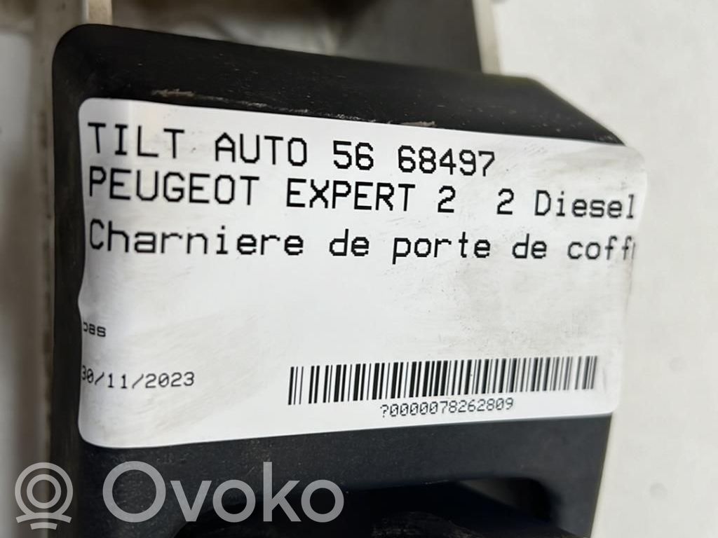 Peugeot Expert Tailgate/trunk/boot hinge 